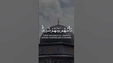 اللهم انصر اخواننا في غزة ي الله #قرآن كريم #القدس_الأقصى #غزة #اليمن #السعوديه #العراق#استوريات ❤️🤍
