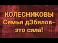 Семья Колесниковых/Новости из Дворца.