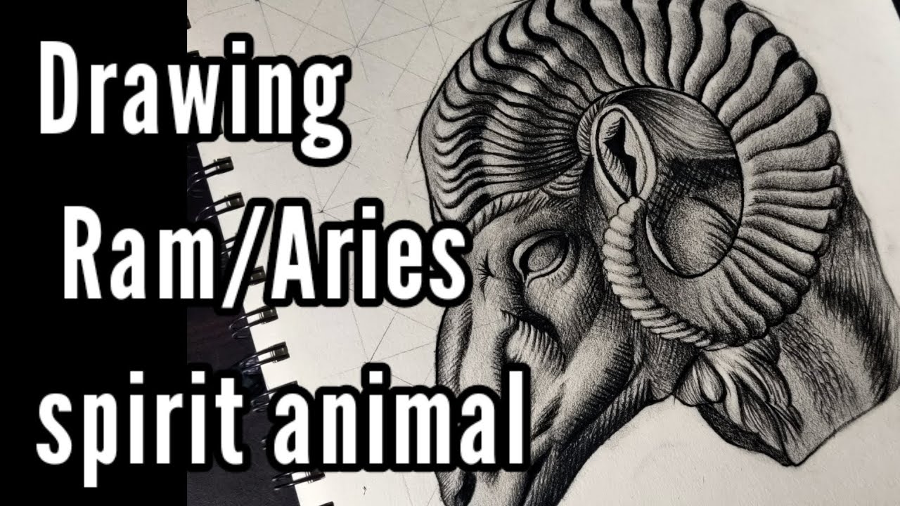 Ram Aries Spirit Animal Drawing Timelapse Video Youtube