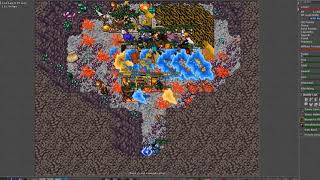 Tibia #Premia War, #Slaughters VS Non Lifers