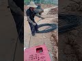 OPGW Crawler Cable Conveyor supplier