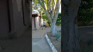 Пляжный Посёлок