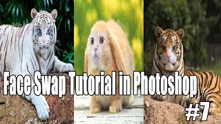 Face Swap Tutorial in Photoshop for Cute Kitten and Puppy | Creative Funny Spoof Videos #7 screenshot 5