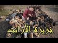 ذهبنا إلى عالم الأرانب في اليابان 😲😲 مشات علينا الباخرة 😭 وكانت المفاجأة