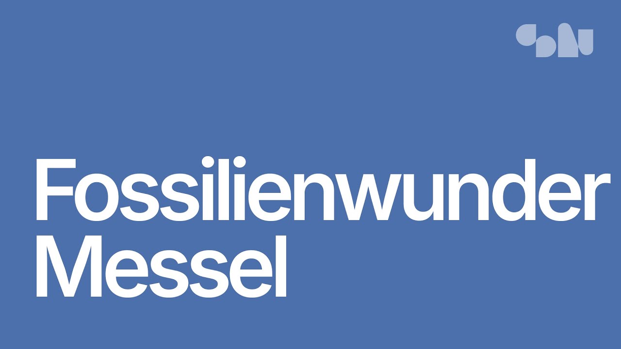 Fossilienwunder Messel – Wie die Natur einzigartige Zeugnisse der Evolution bewahrt hat