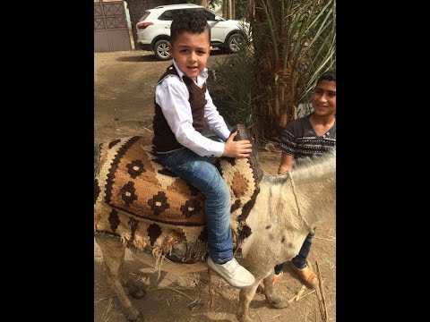 الحب كله أم كلثوم نوعية صوت عالية