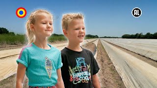 Juup And Brettje Learn All About Asparagus  Where Does My Food Come From  Childhood Kroncrv