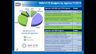 NIH SBIR Progam