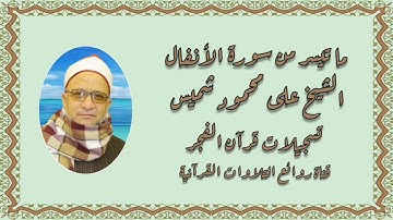 سورة الأنفال (٢٢-٤٠) - قرآن فجر - الشيخ على محمود شميس