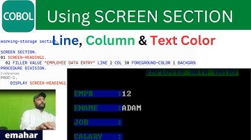 Using SCREEN SECTION , COLOR and LINE COLUMN | COBOL