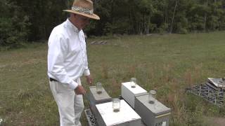 Honeybees Important For Farmers And Consumers