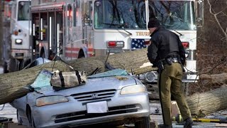Tree flattens moving car, kills man in Maryland