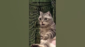 Whiterun guards followed me all the way to the dawnstar sanctuary? #gaming  #skyrim #skyrimmodded