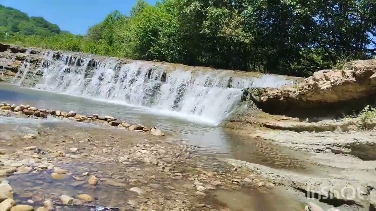 flash stuff - jungle online