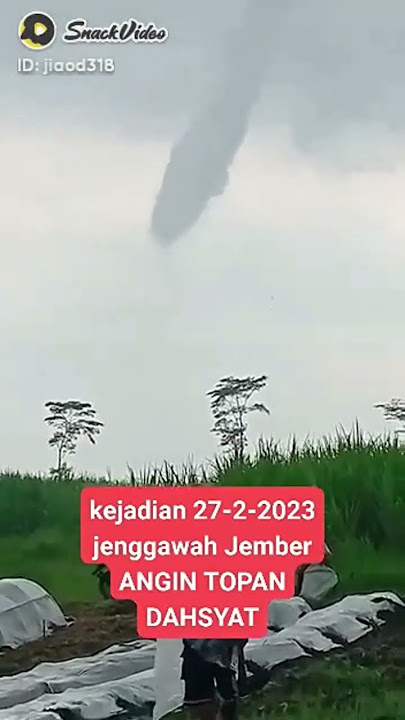 detik detik angin topan di jenggawah jember