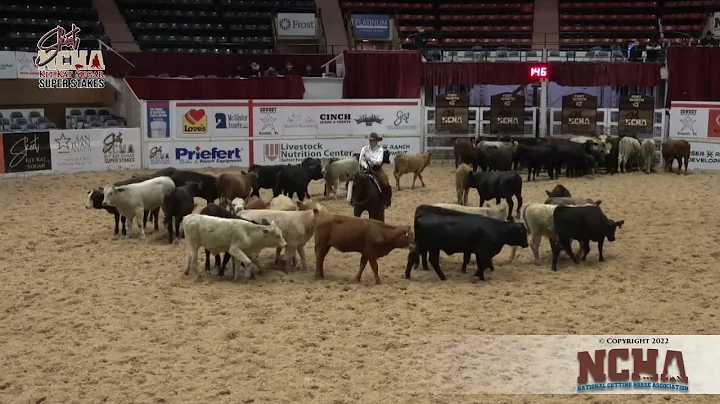 Call Signn & Kelsey Johnson Strong in NCHA Super S...