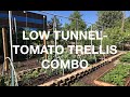 How to build a low tunnel-tomato trellis combo