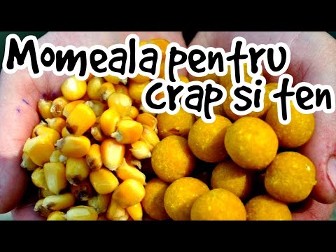 Video: Ce Fel De Abordare Mușcă Mai Bine Crapul