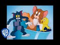 Tom y Jerry en Latino | Aquí Vienen las Aves | WB Kids