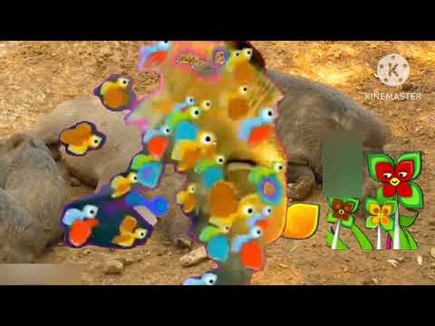 فاصل براعم دعاية خنزير بري في حروف ورسوم 2016 2015 2014 2013 2012 2011 