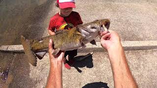 Fishing At Lake Lanier. Caught The Same Flathead Catfish Two or Three Hours Later