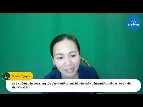 Video GÀ BỊ TIÊU CHẢY UỐNG NƯỚC NHIỀU VÀ CÁCH ĐIỀU TRỊ HIỆU... - youtube