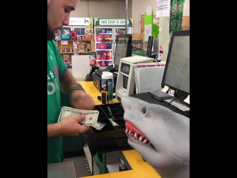 video editing software free shark puppet buys sharks