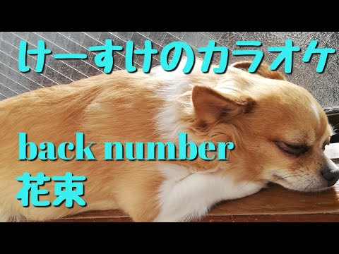 花束　back number　カラオケ　歌ってみた