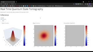 Full Real time quantum state tomography system Guide