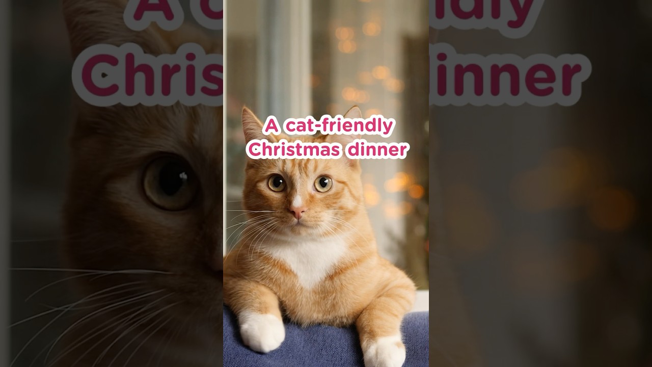 Cat-friendly Christmas dinner. 