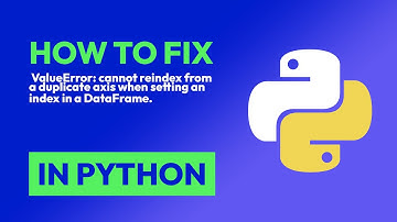 How to fix  ValueError: cannot reindex from a duplicate axis when setting an ... in Python