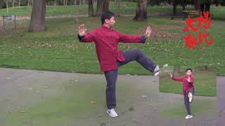 Yang Family Tai Chi Essential Form Performed by Master Yang Jun