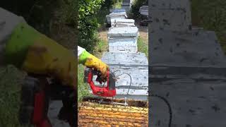 Best Beekeeping Tool — Bees Fly Off Instantly!