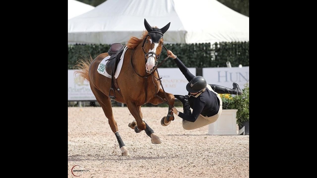 Horse Fails Compilation YouTube