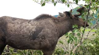 North Platte River Adventure North Platte River Adventure