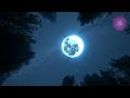🌿 1 Hour Pathway Music for Meditation 🧘 | Mind Relaxation, Inner Peace &amp; Stress Relief