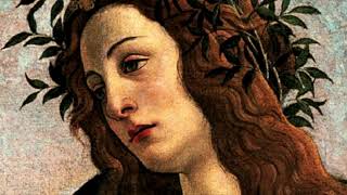 Paloma Mami - Fingías Slowed & Reverb