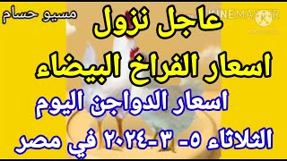 اسعار الفراخ البيضاء اليوم اسعار الدواجن اليوم الثلاثاء ٥-٣-٢٠٢٤ في مصر
