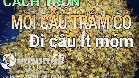 Cách trộn MỒI CÂU TRẮM CỎ siêu hiệu quả với SUNKISS TRẮM TRẮNG