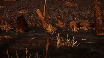 UE5 burned forest test environment