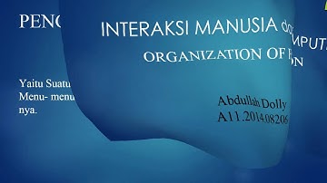 Mata kuliah IMK, Organization of Function [Abdullah Dolly/Dosen Ifan Risqa] Udinus