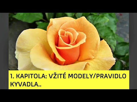 Video: Kadee Strickland Neto vrednost: Wiki, poročen, družina, poroka, plača, bratje in sestre