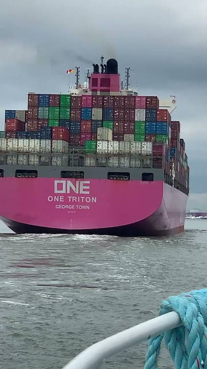 Container cargo #ship #vacation #shorts #shortvideo #shortsfeed #sea #seaman #ytshorts #short #yt