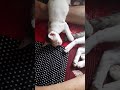 cat ad her kitten sleeping on human legs #shortsfunny videos#1000subscribers
