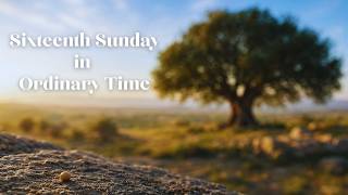 Sixteenth Sunday in Ordinary Time 7-19-26