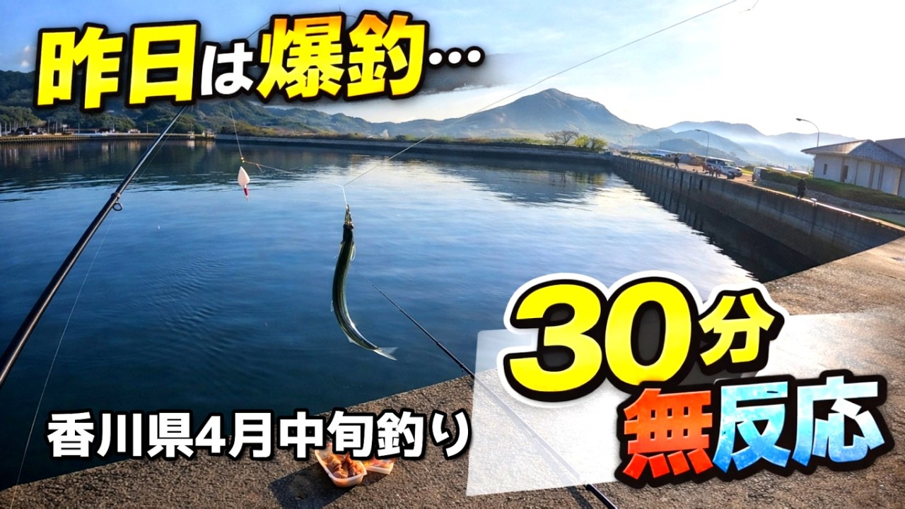 Kagawa Prefecture, April: I caught fish yesterday, but not today