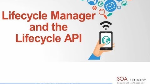Lifecycle Manager and the Lifecycle API