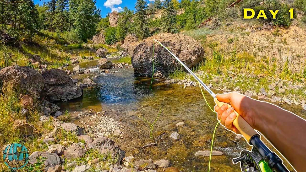 Fly Fishing NEW Creeks for Wild Trout! (Brown Trout and Rainbow Trout
