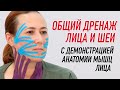 ✅ ОБЩИЙ ДРЕНАЖ ЛИЦА И ШЕИ С ДЕМОНСТРАЦИЕЙ АНАТОМИИ МЫШЦ ЛИЦА | Валентин Гайт| Учебный центр BBALANCE