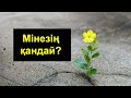 Мінезің қандай ? Жұма уағызы